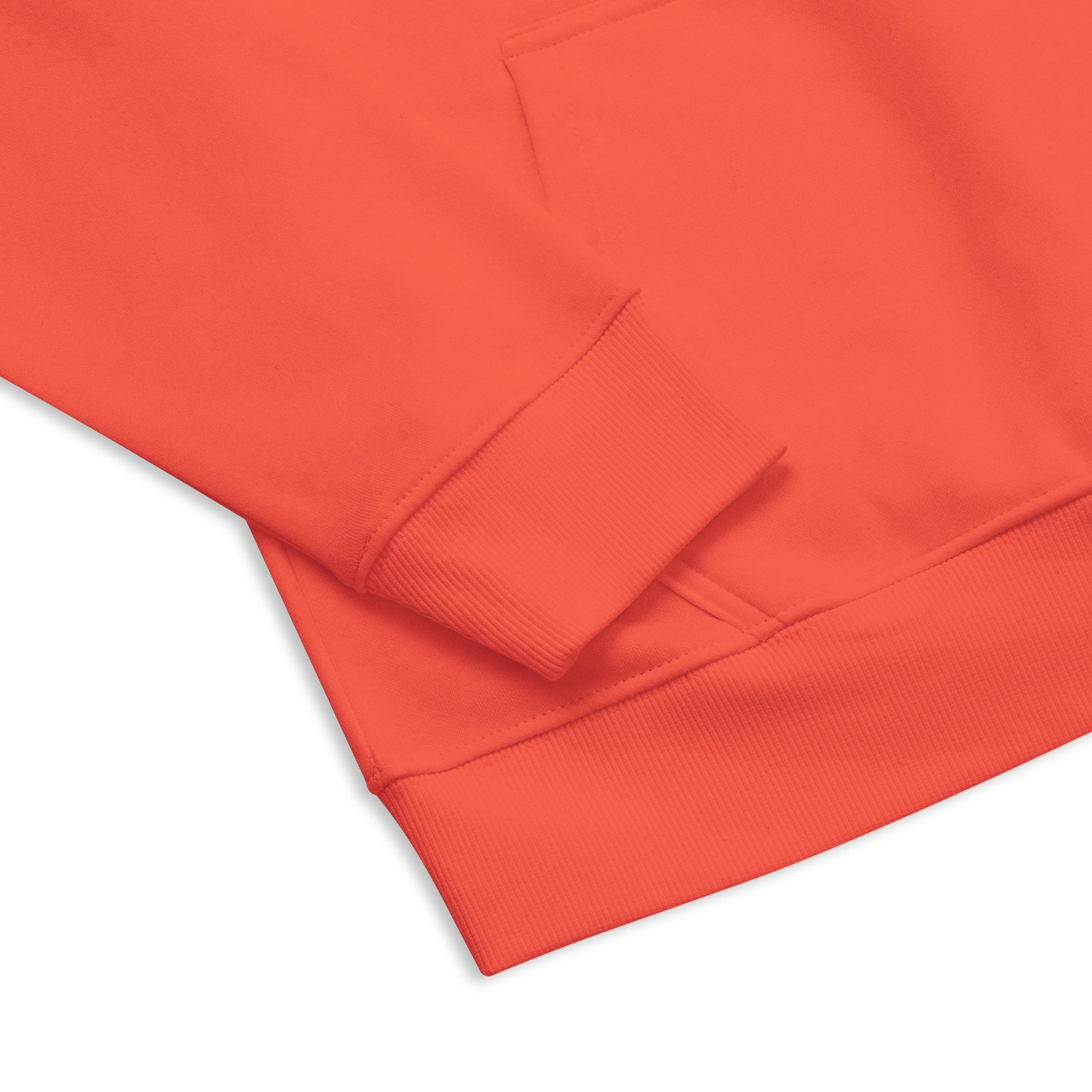 Big Black Canvas - Burnt Orange Hoodie - TME - Thisisme Tme